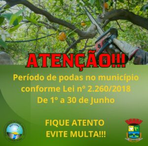 ATENÇÃO! FIM DO PERÍODO DE PODAS DE ÁRVORES E DESTINAÇÃO DE GALHOS.